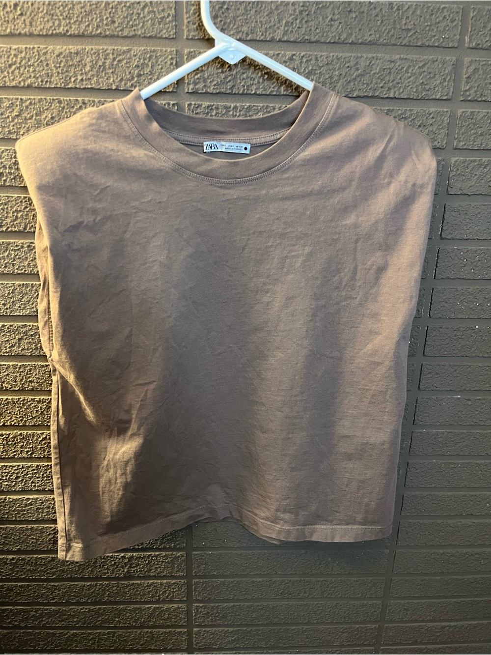 Zara Crewneck Tee in Taupe Brown